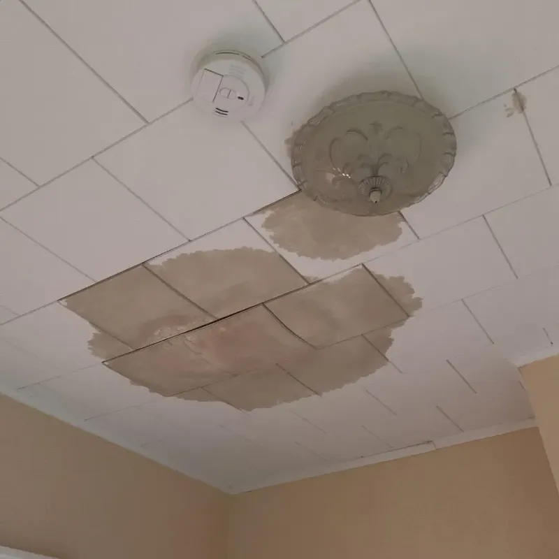 Ceiling Water Damage Repair in Schenectady, NY