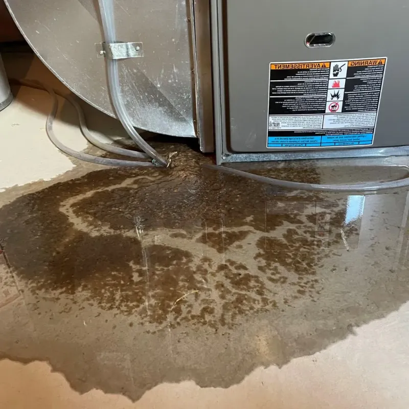 Pipe Burst and Leak Restoration in Schenectady, NY
