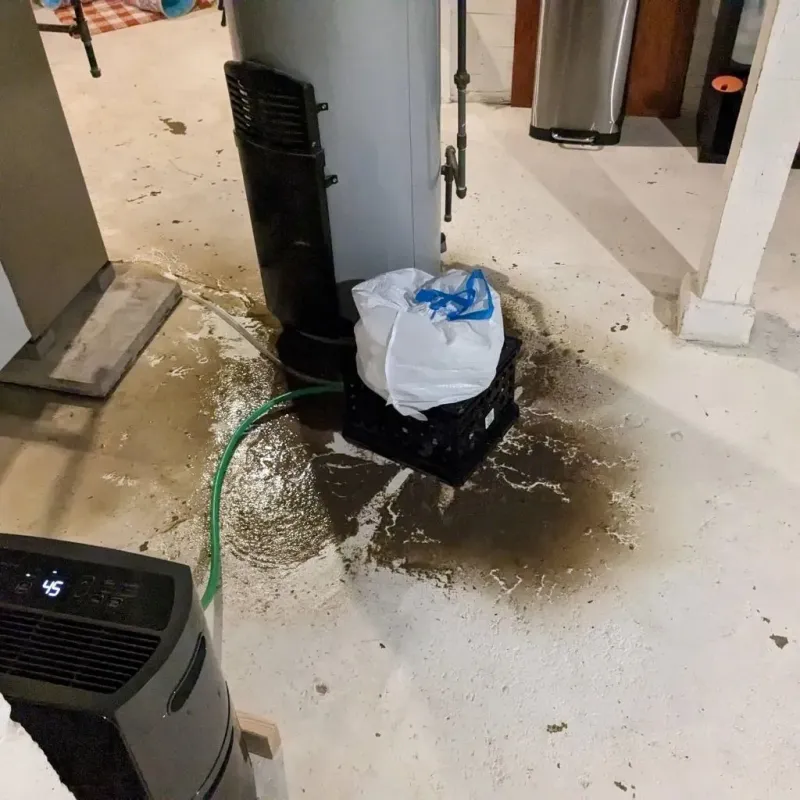 Sewage Backup Cleanup Service in Schenectady, NY